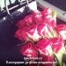 фото-отзыв клиента 2